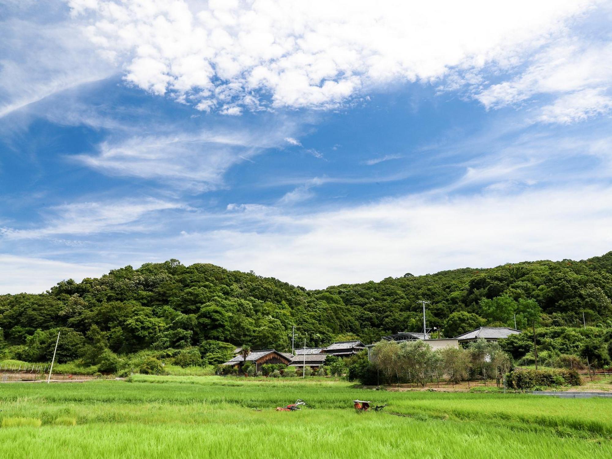 オリーブ農家の家 お泊り忠左衛門 吉野 Villa Sodosima Kültér fotó